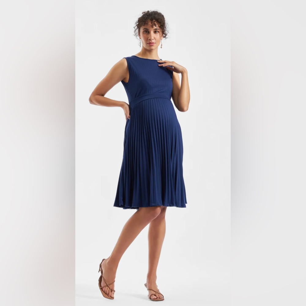 Ripe Navy Blue Pleated Aline Dress Size Small New